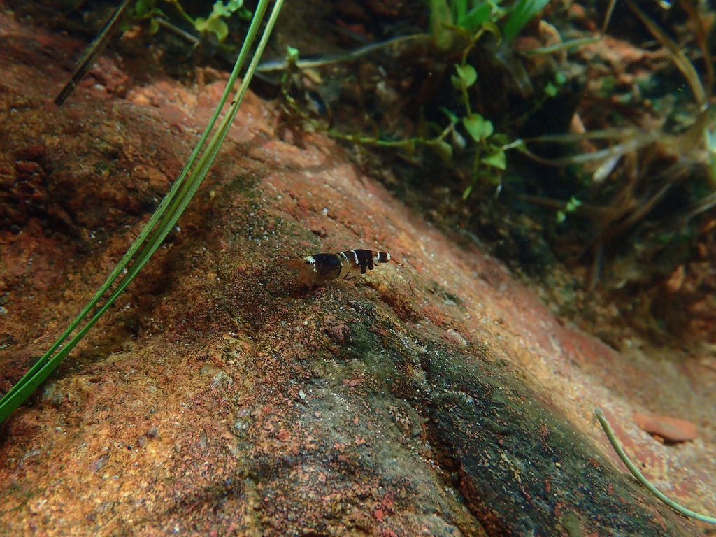 P7130849.JPG