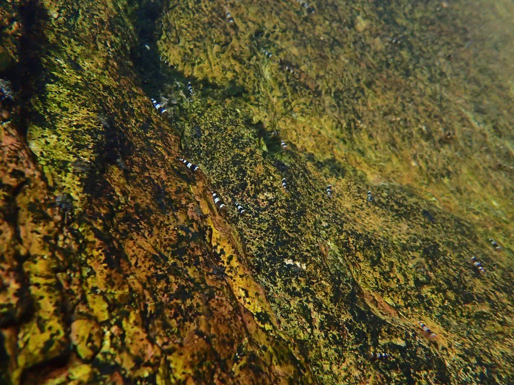 P7130913.JPG