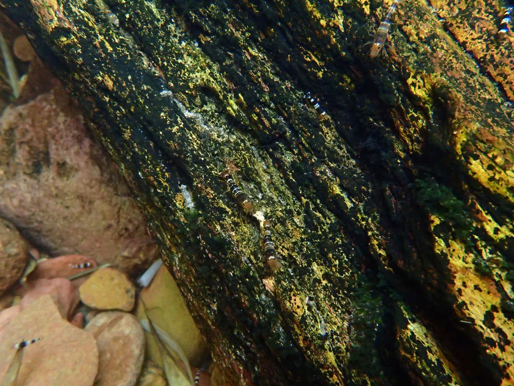 P7130919.JPG