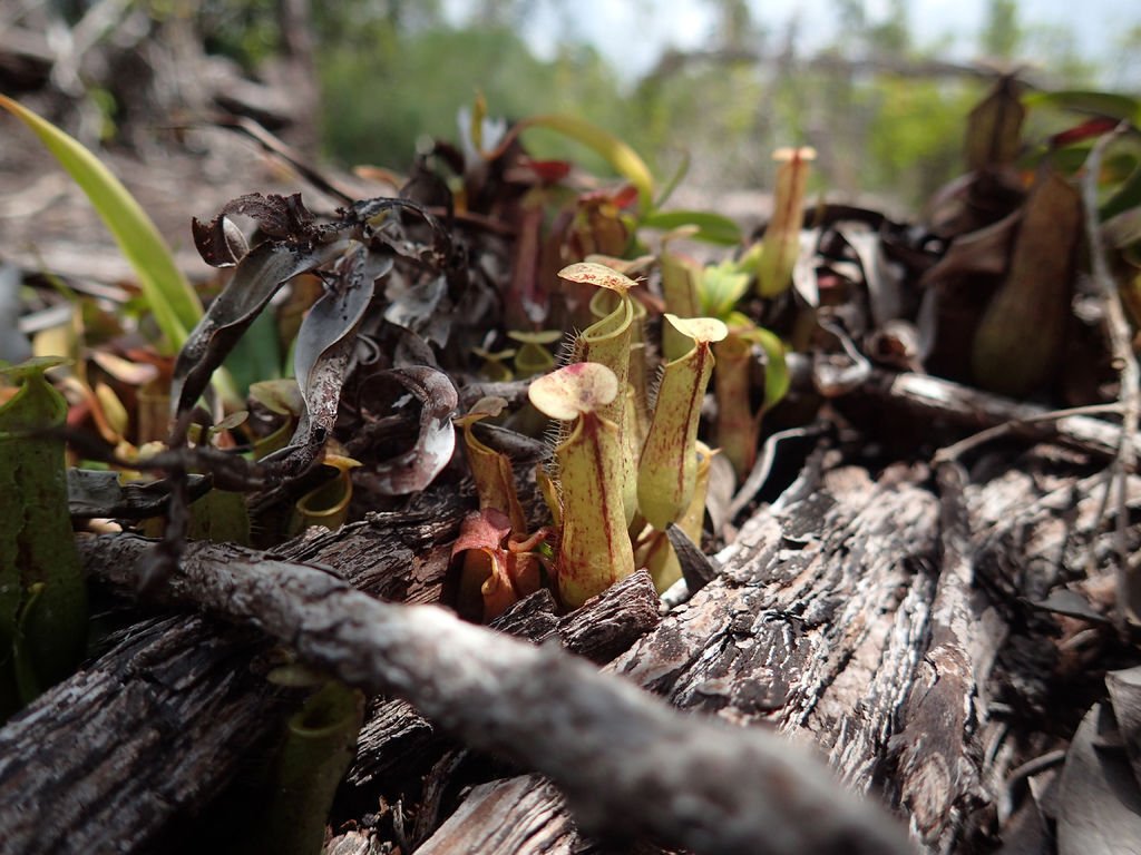 P8222157.JPG