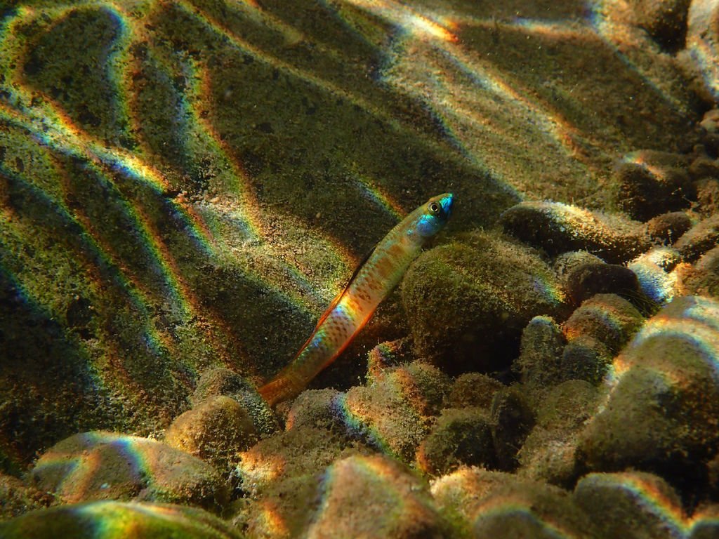P9232858.JPG