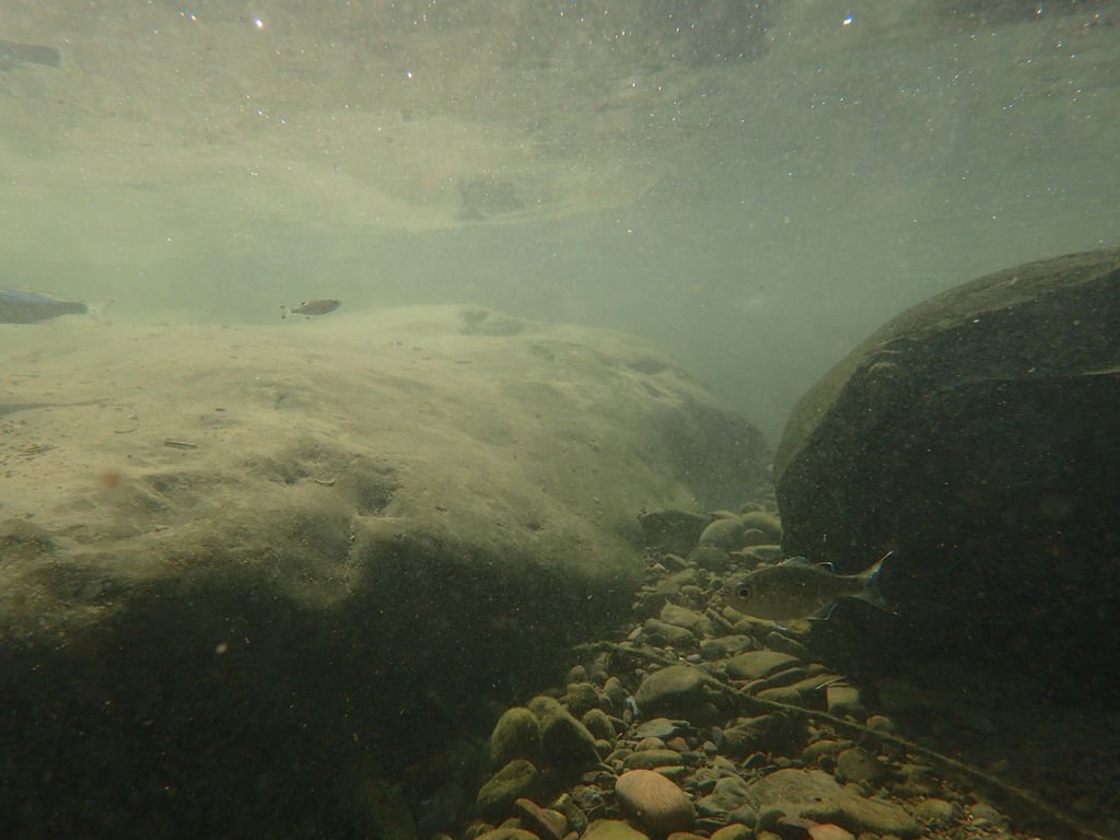 P9232897.JPG