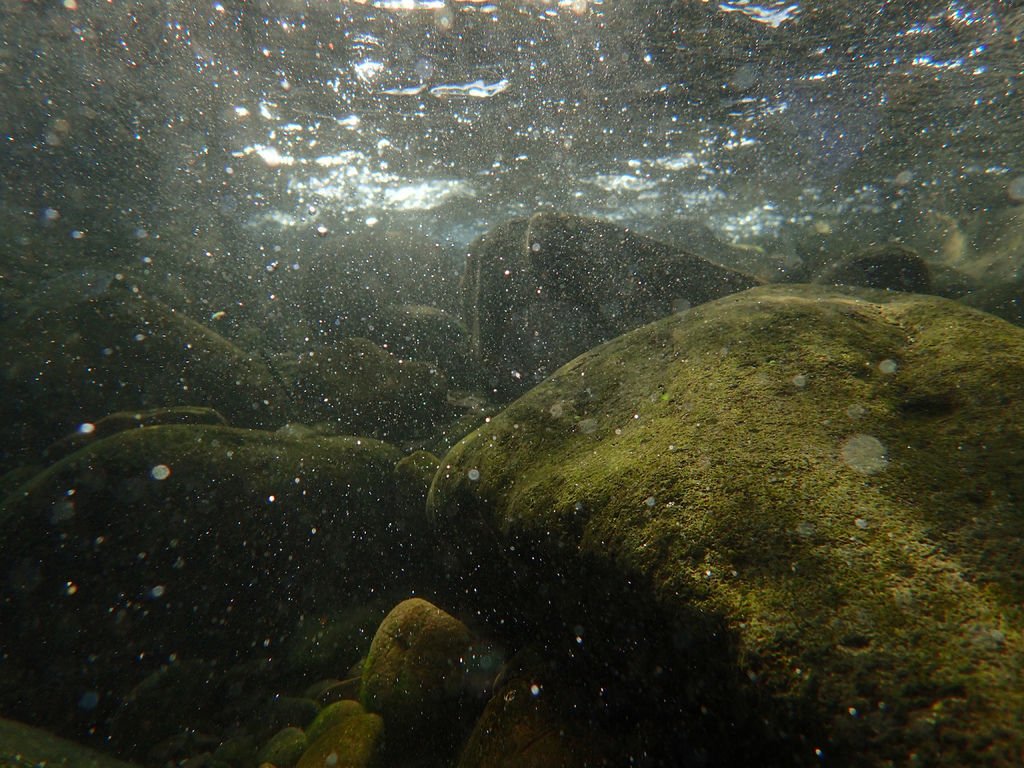 P9232900.JPG