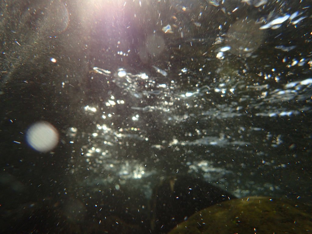 P9232902.JPG