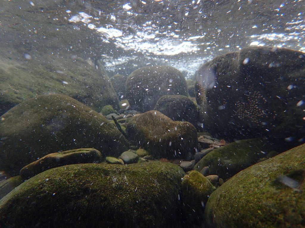 P9232911.JPG