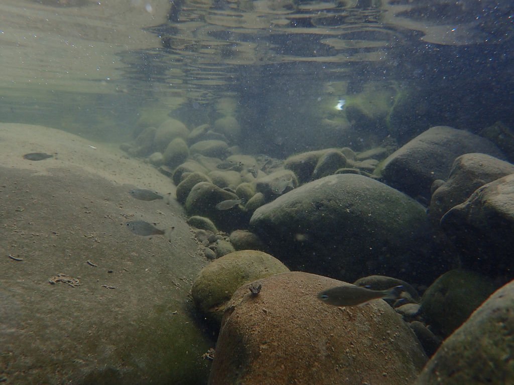 P9232916.JPG