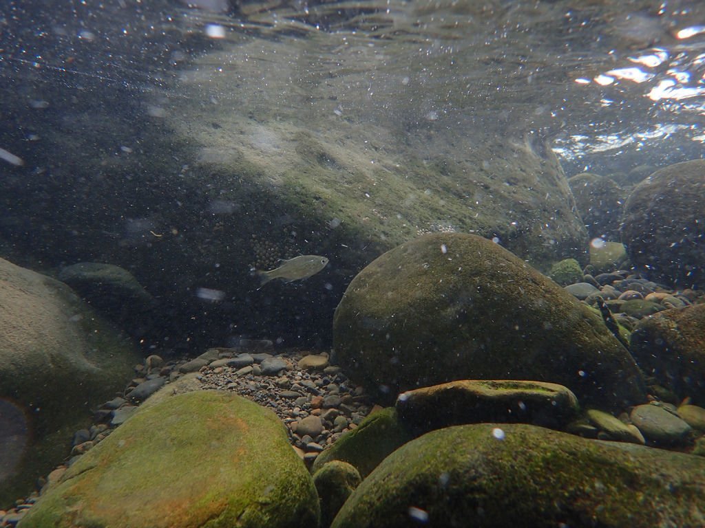 P9232920.JPG
