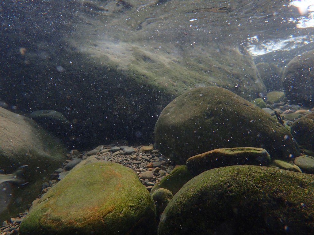 P9232924.JPG