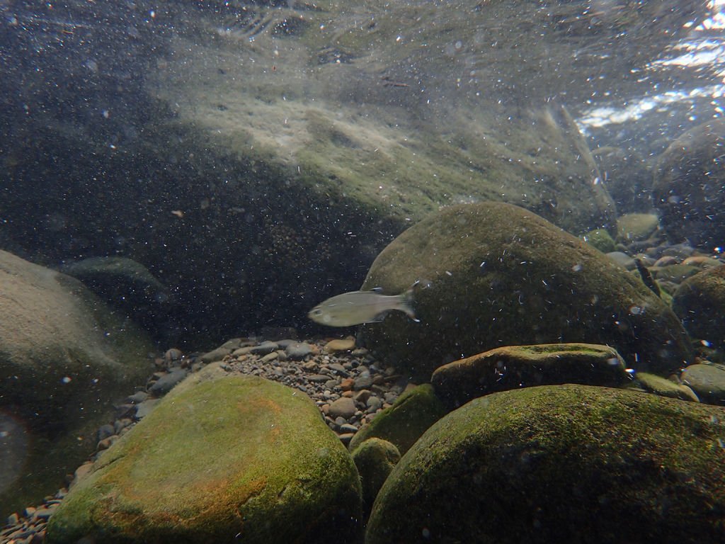 P9232922.JPG
