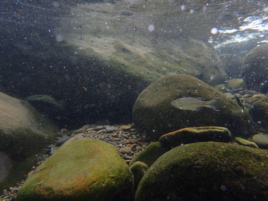 P9232921.JPG