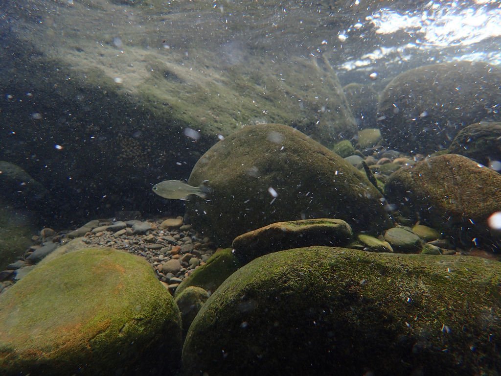 P9232932.JPG