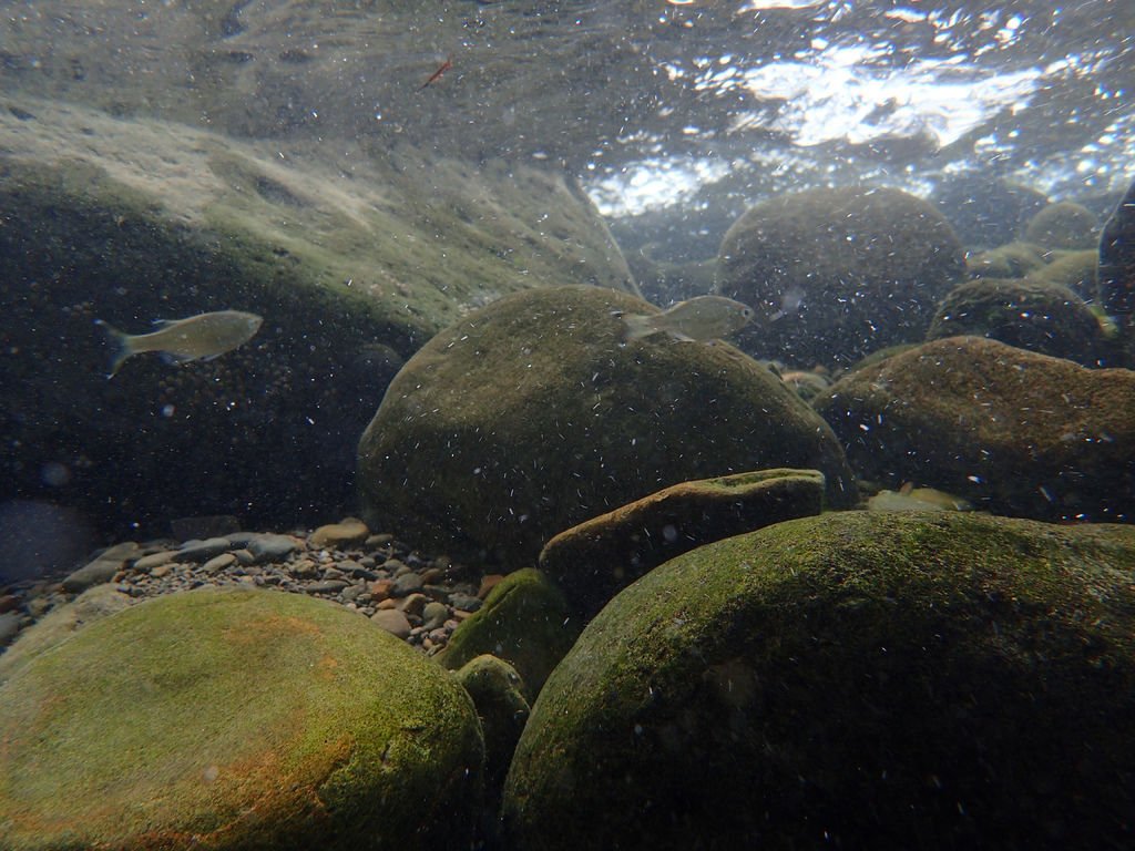 P9232935.JPG