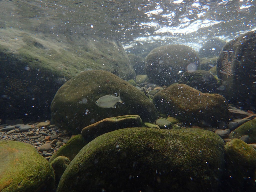 P9232937.JPG