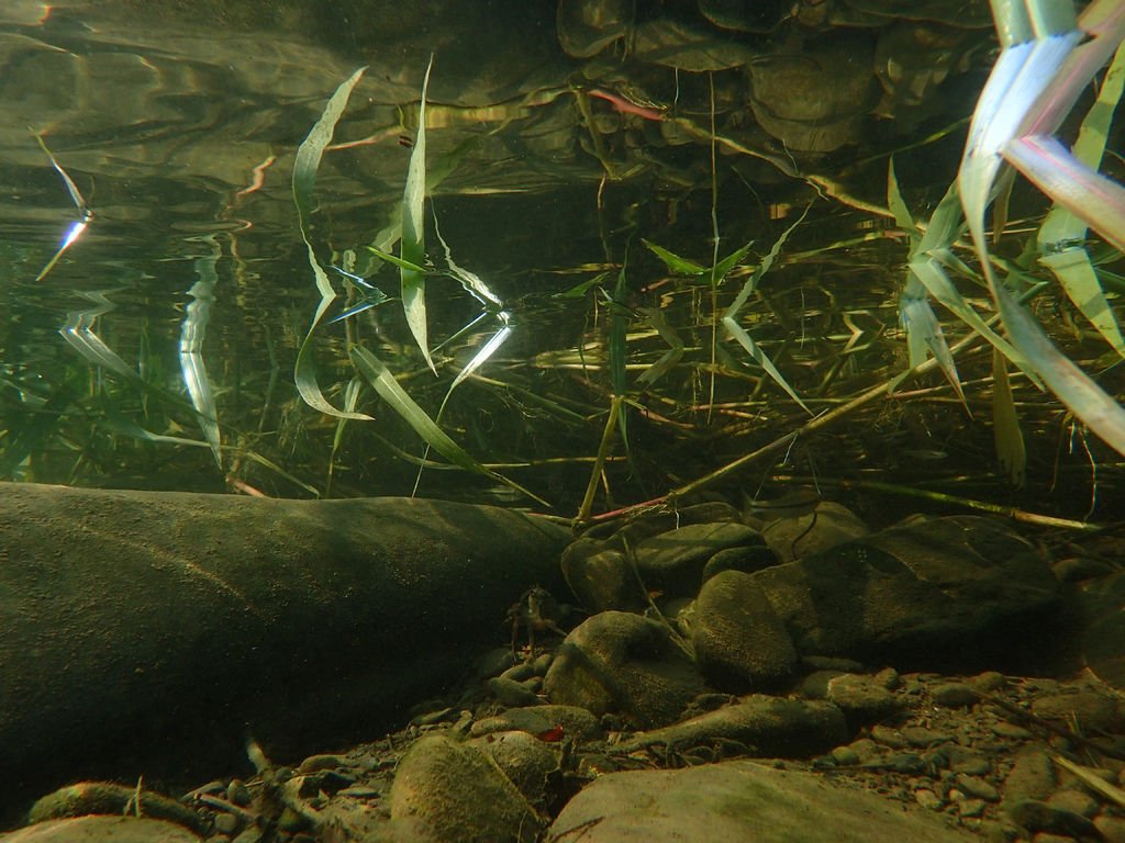 P9232962.JPG