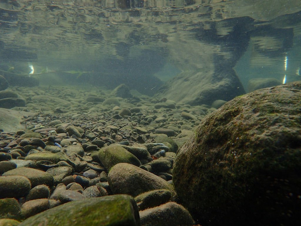 P9232966.JPG