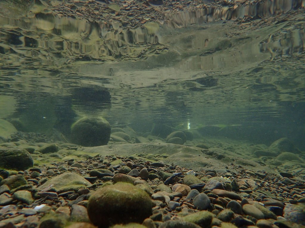 P9232980.JPG