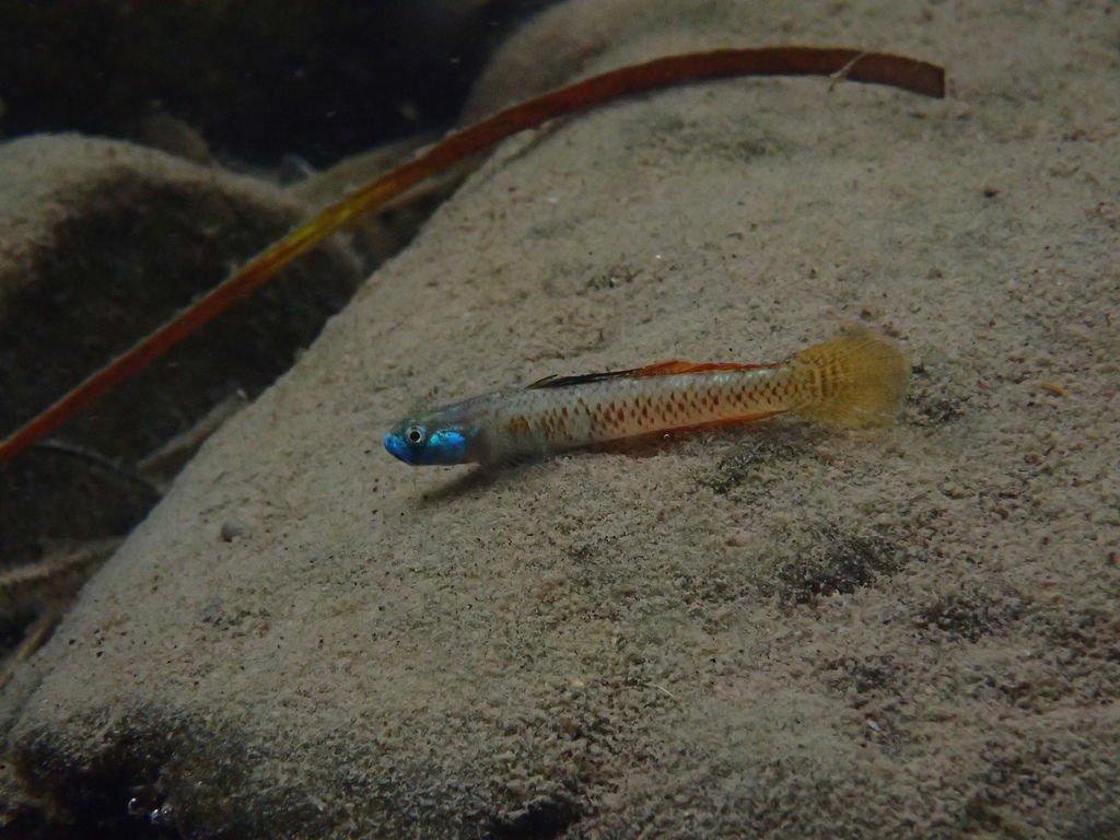 P9233032.JPG