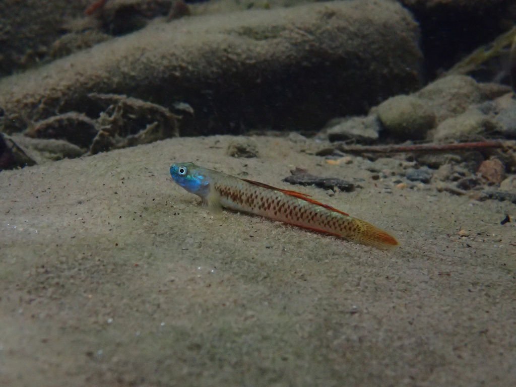 P9233035.JPG