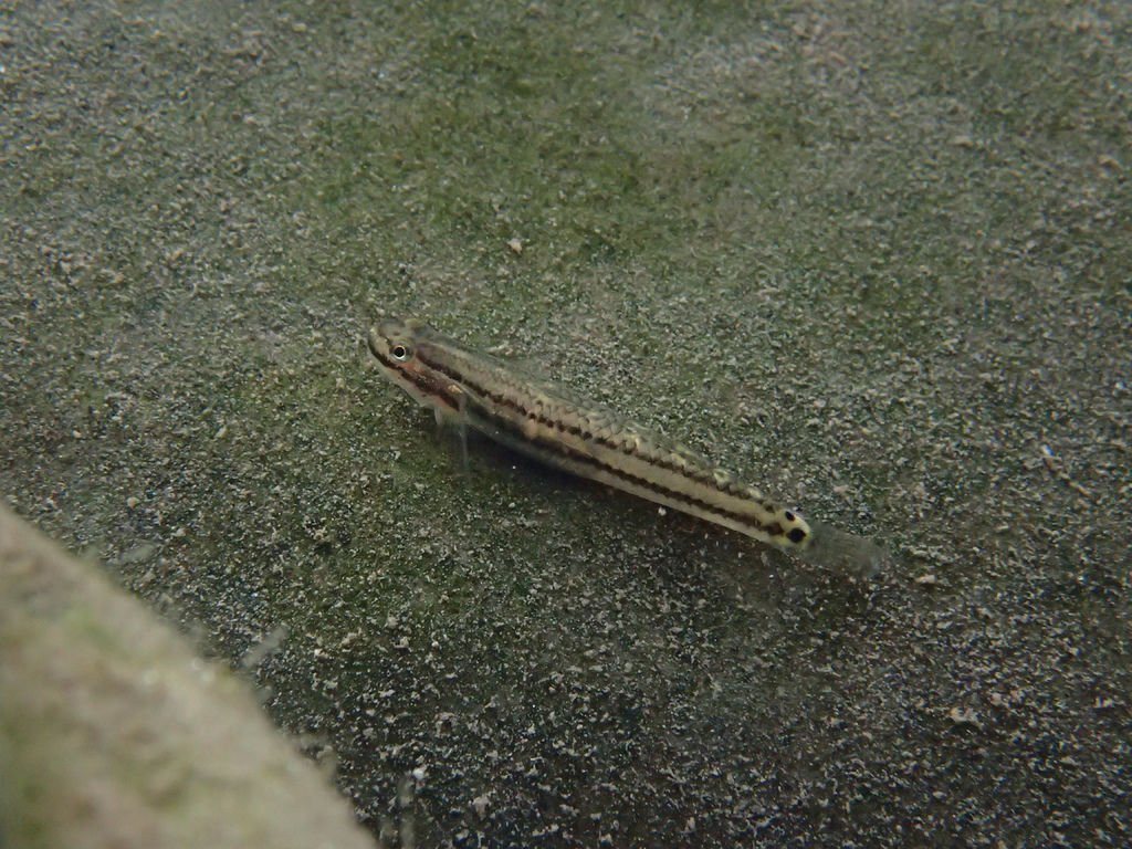 P9233042.JPG