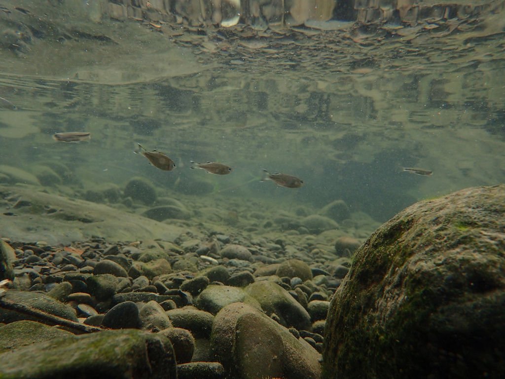 P9243143.JPG