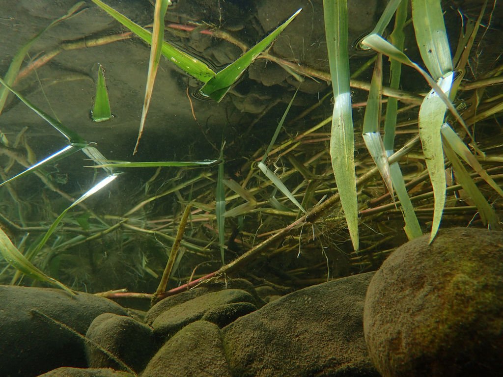 P9243152.JPG
