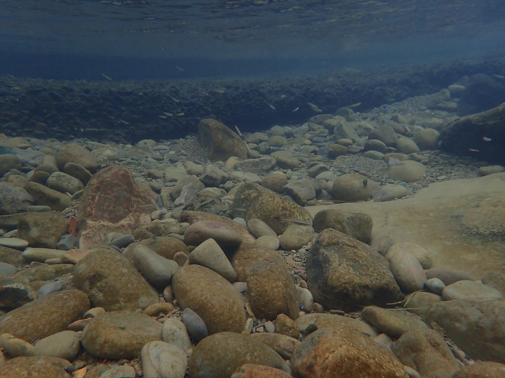 PA293975.JPG