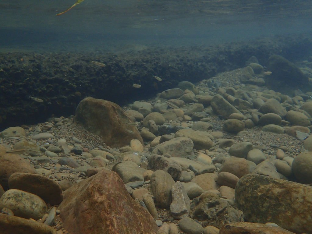PA293980.JPG