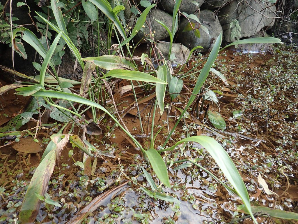 P1104577.JPG