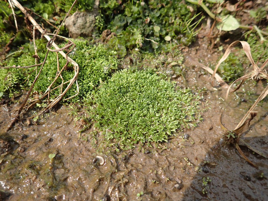 P1124737.JPG
