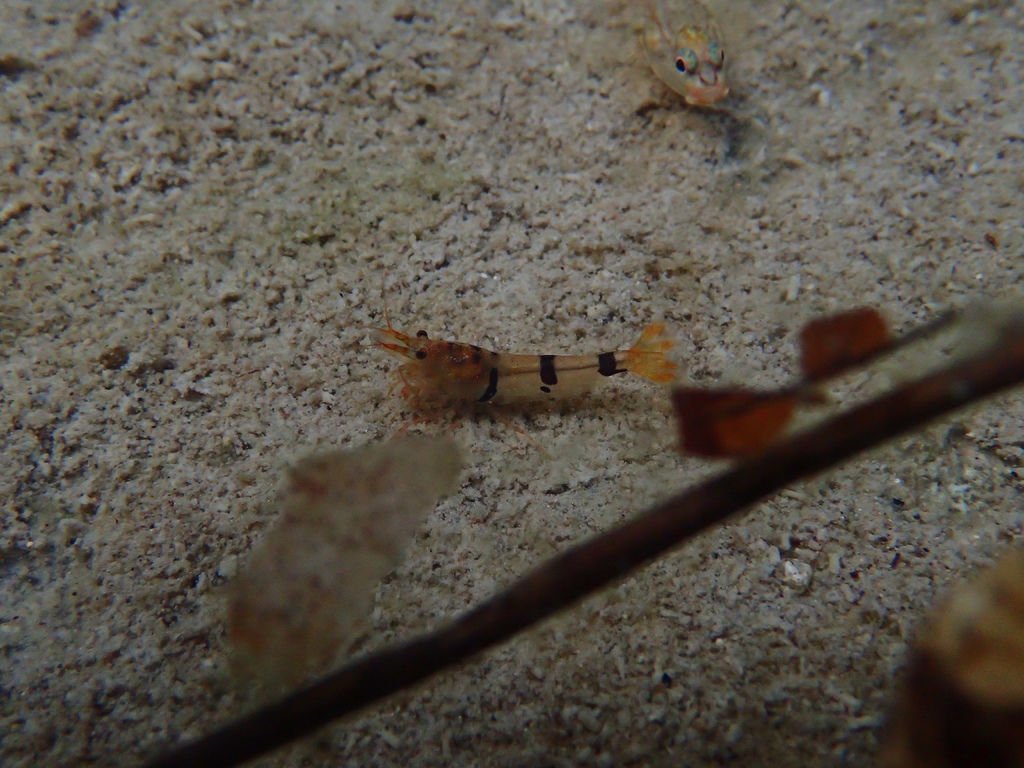 P1247250.JPG