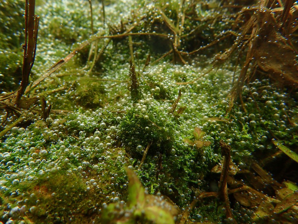 P1206564.JPG