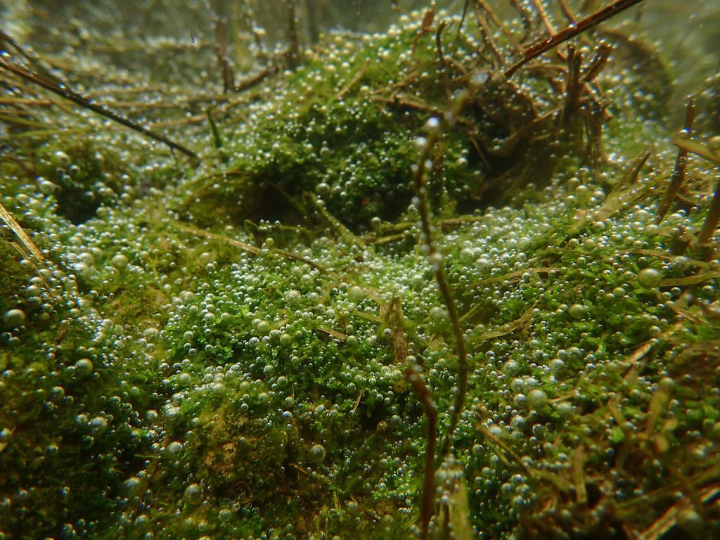 P1206568.JPG