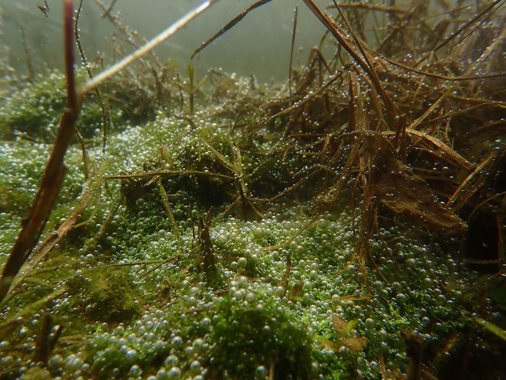P1206575.JPG