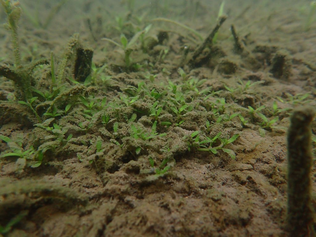 P1206650.JPG