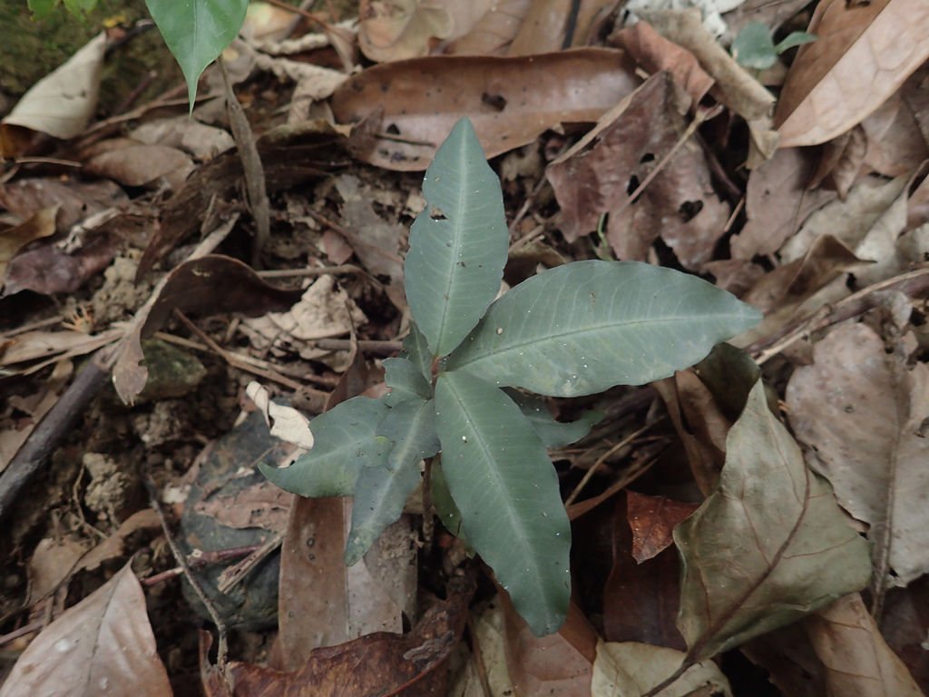 P1257450.JPG
