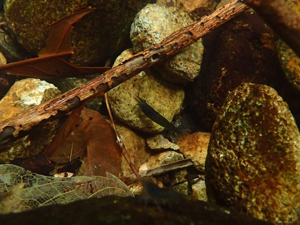 P1257469.JPG