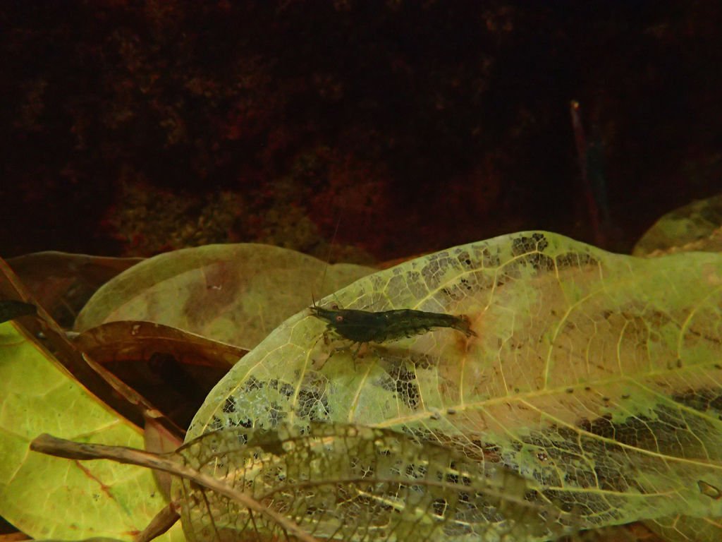 P1257473.JPG