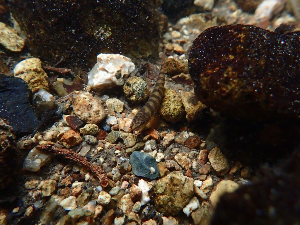 P1257521.JPG