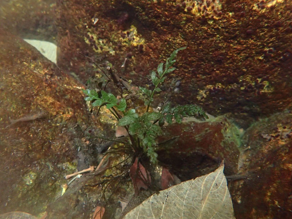 P1257574.JPG