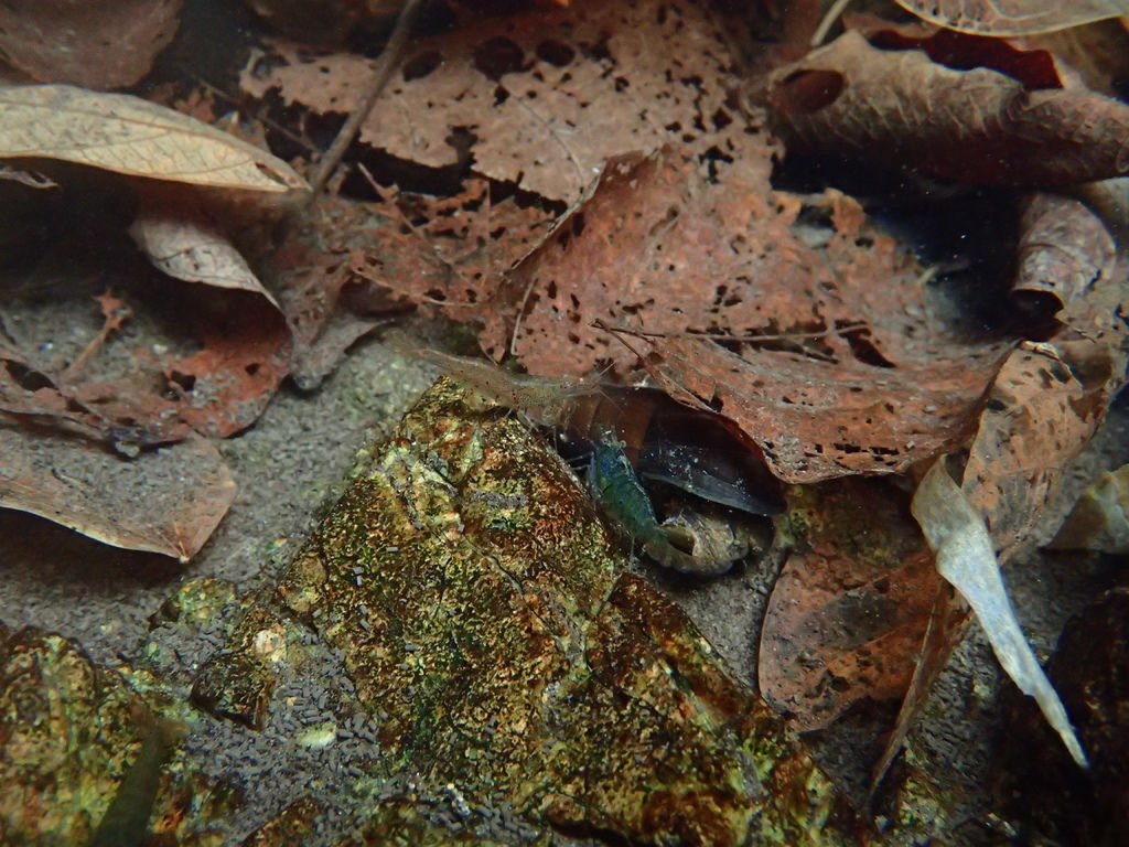 P1257577.JPG
