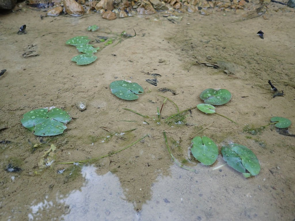 PA100001.JPG