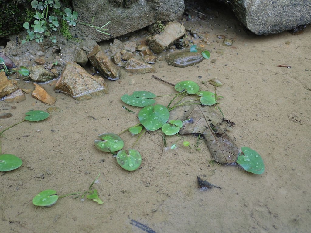 PA100002.JPG