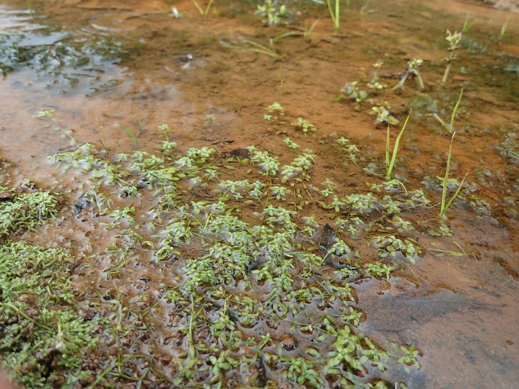 P3040244.JPG