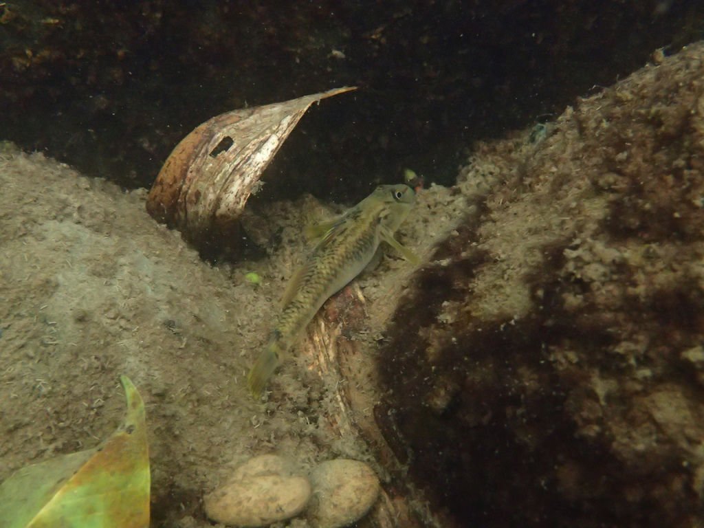 P4041945.JPG