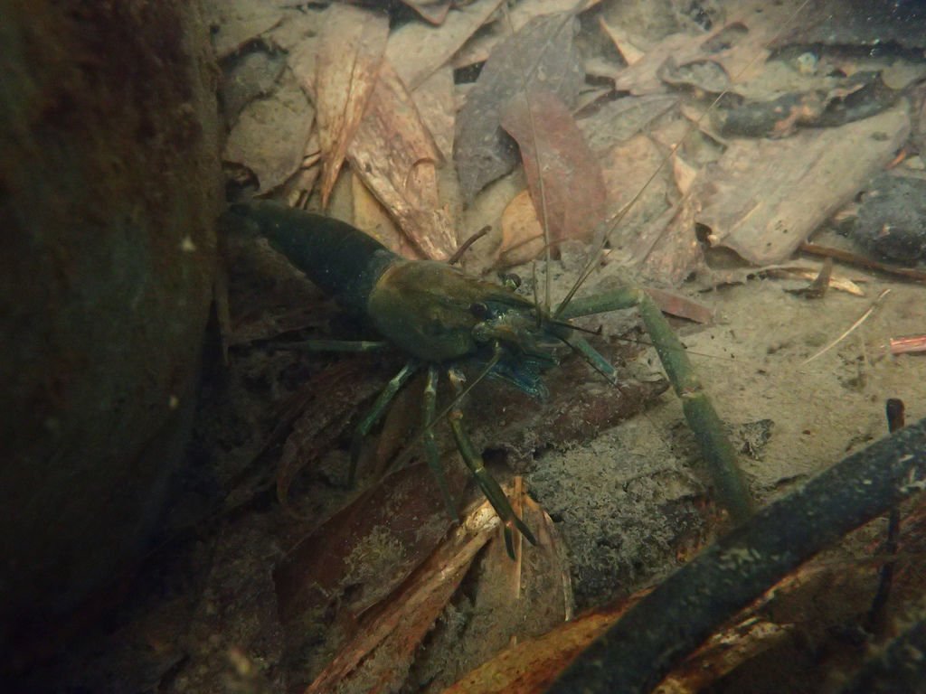 P4041948.JPG