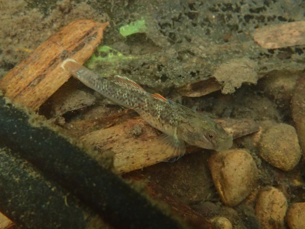 P4041973.JPG
