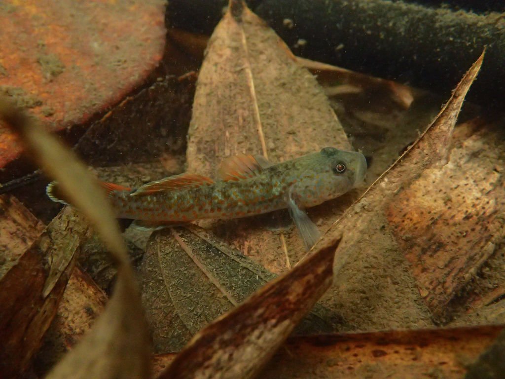 P4042016.JPG