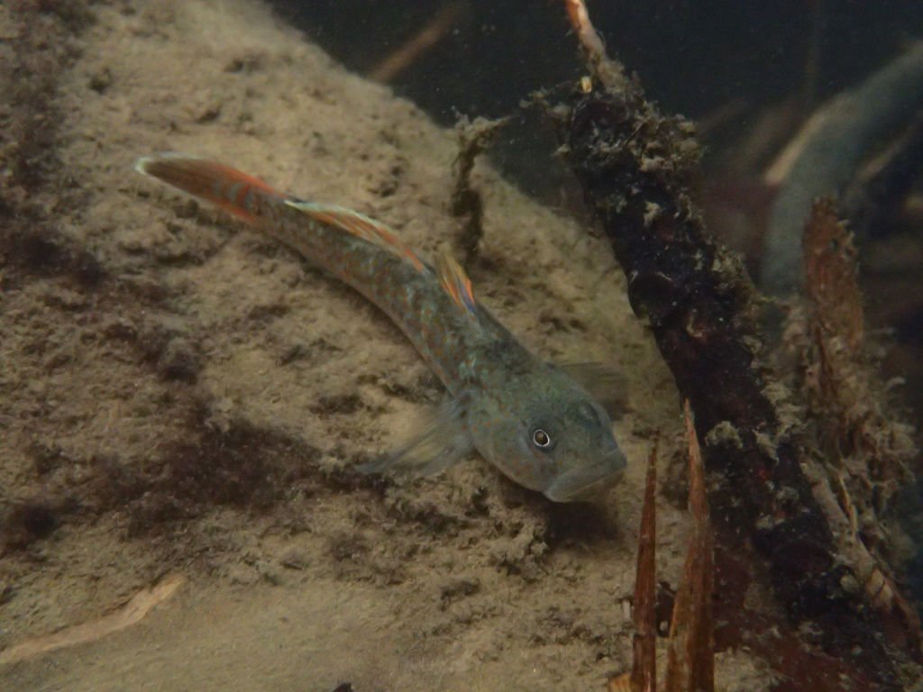 P4042013.JPG