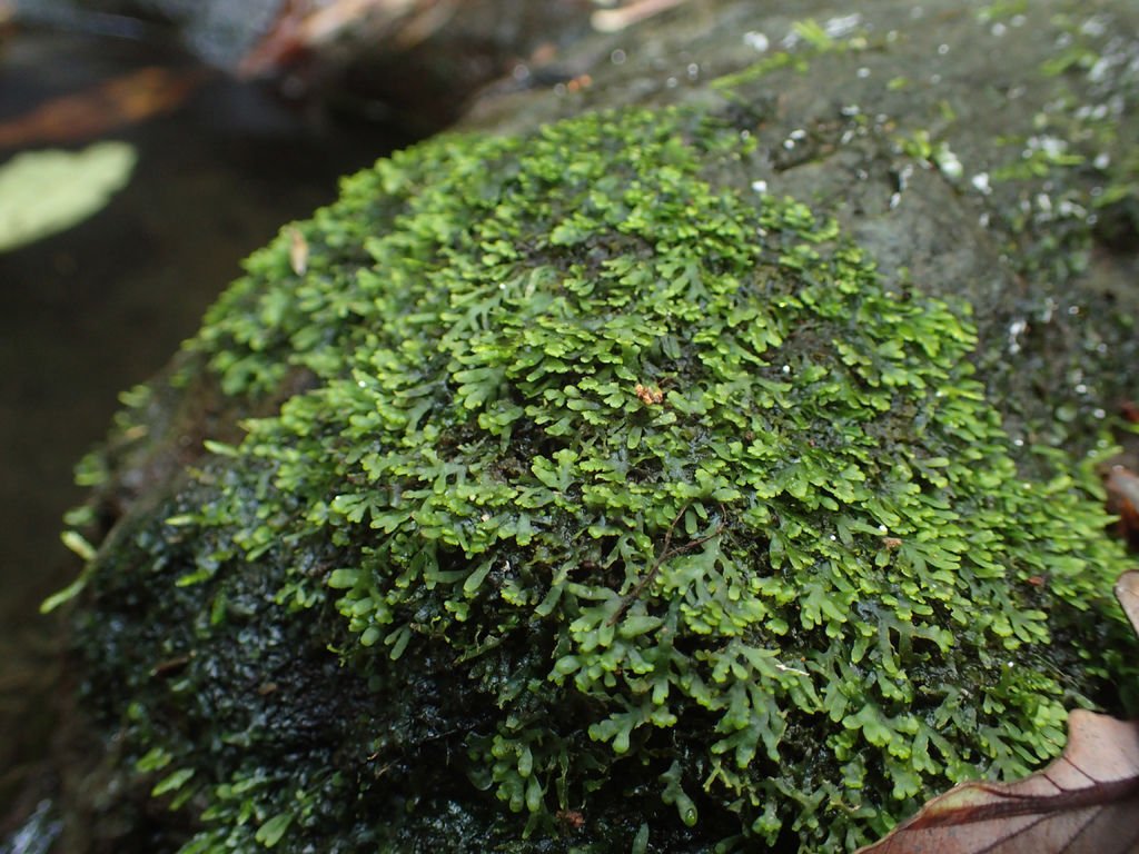 P4042119.JPG