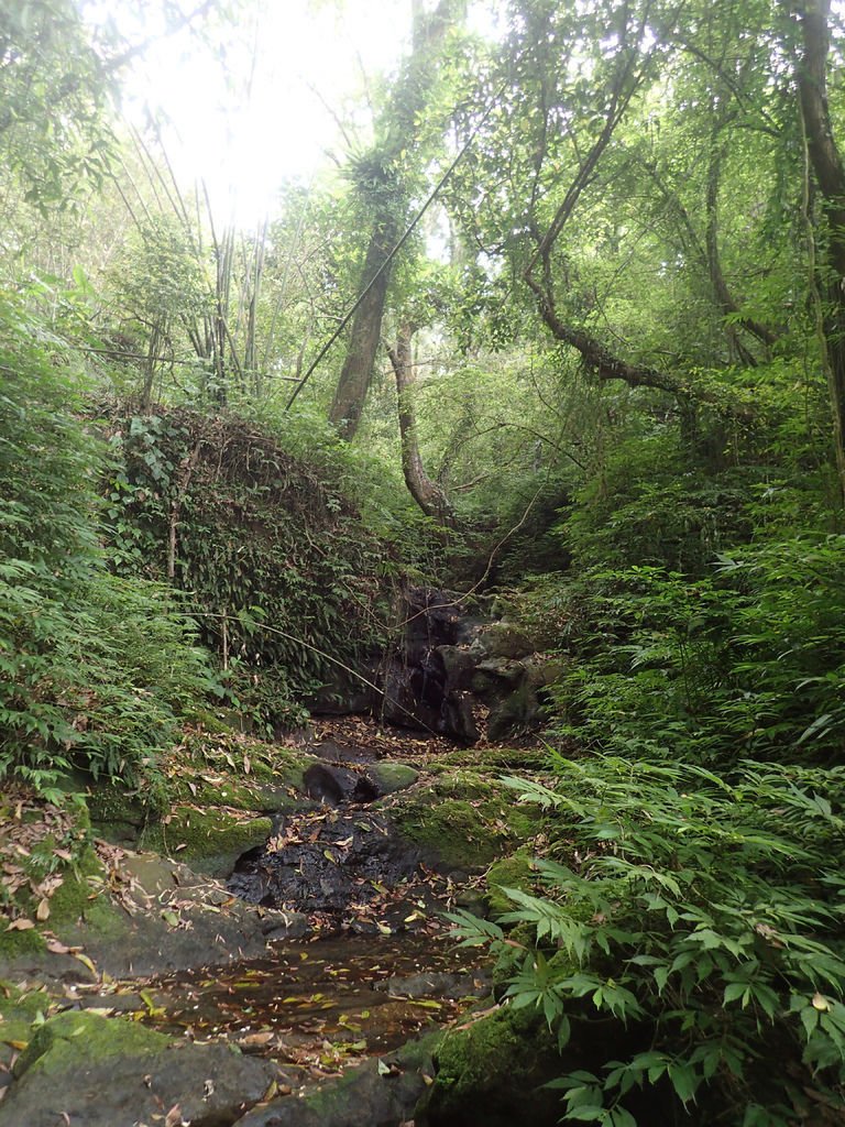 P4042108.JPG